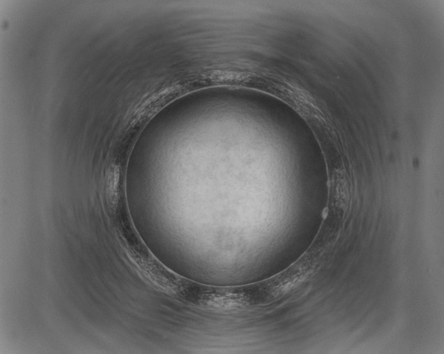 X0000083610550200702201252