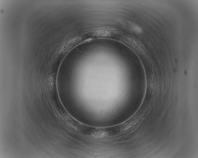 X0000083610551200702201253