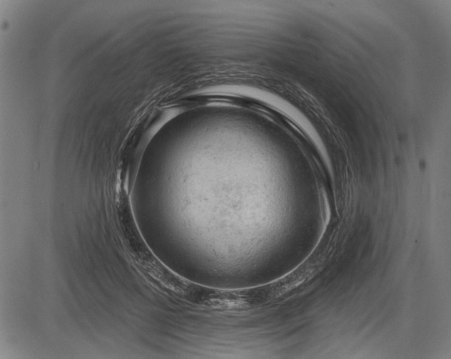 X0000083610552200702201253