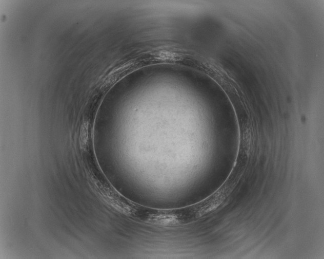 X0000083610554200702201253