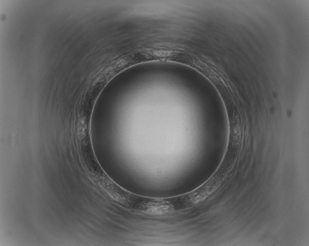 X0000083610555200702201253