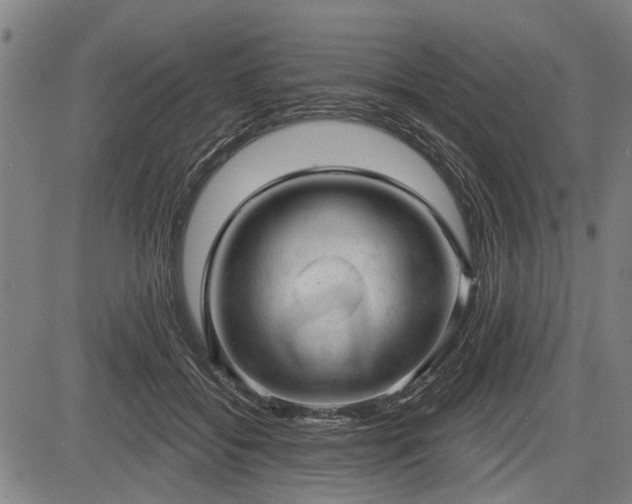 X0000083610556200702201253