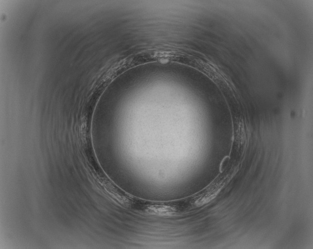 X0000083610557200702201253