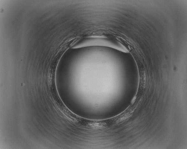 X0000083610558200702201253