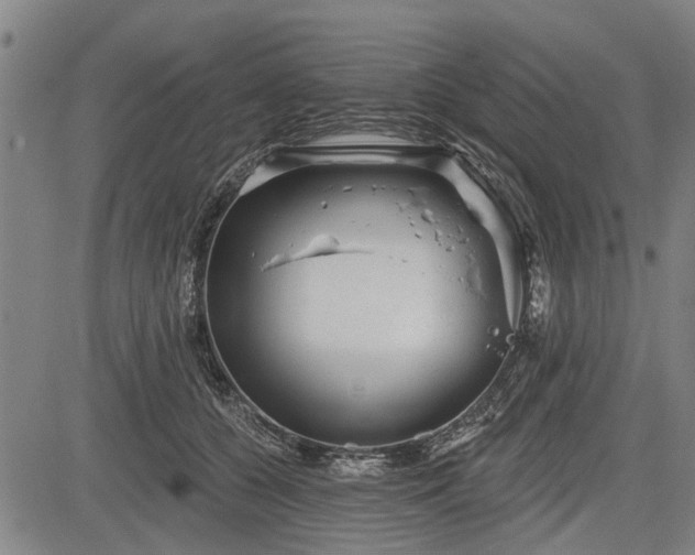 X0000083610560200702201253