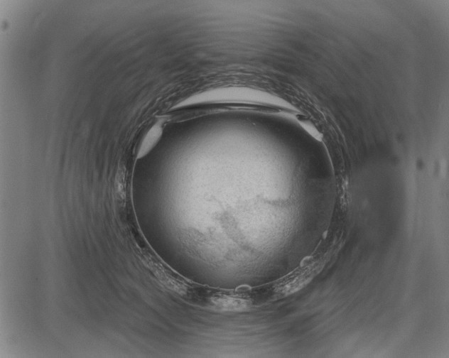 X0000083610561200702201253