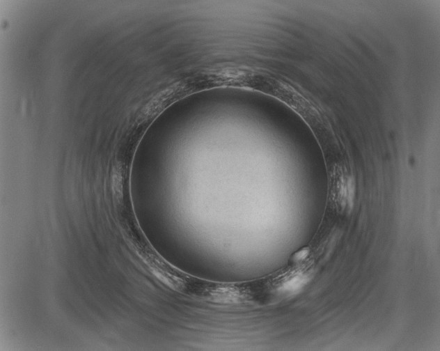 X0000083610562200702201253