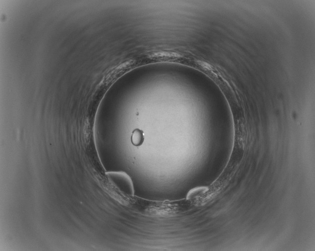 X0000083610563200702201253