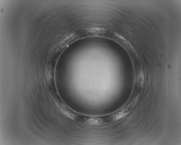 X0000083610566200702201253