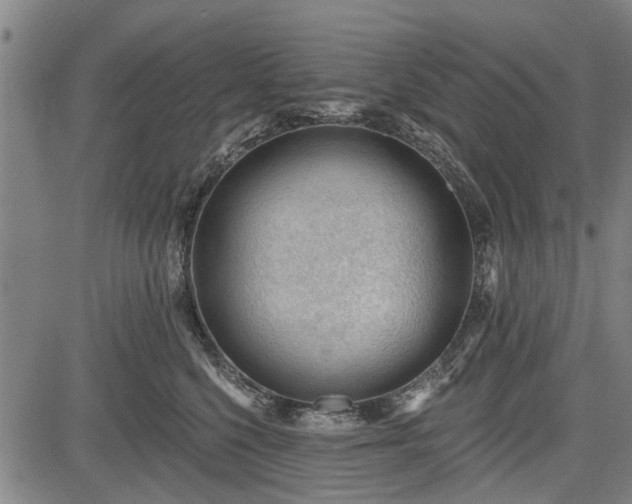 X0000083610568200702201253