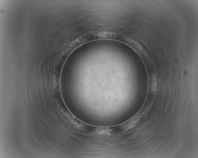 X0000083610569200702201253