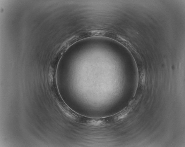 X0000083610570200702201253