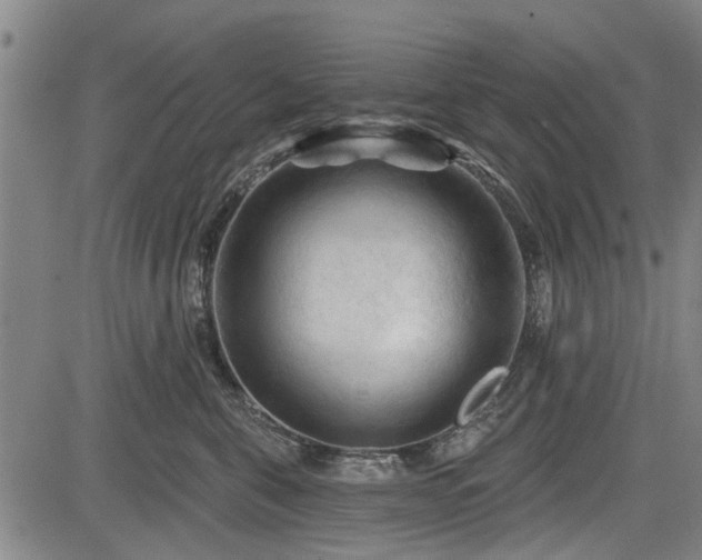 X0000083610571200702201253