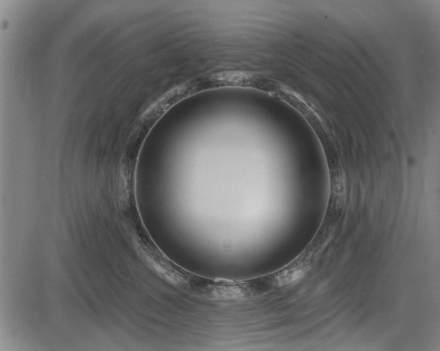 X0000083610572200702201253