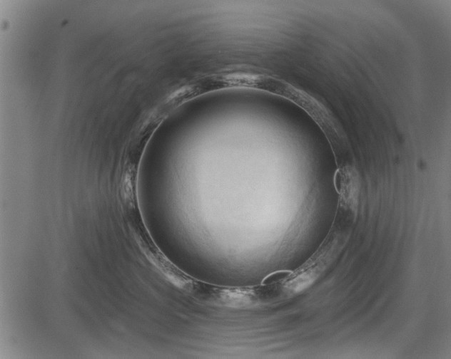 X0000083610573200702201253