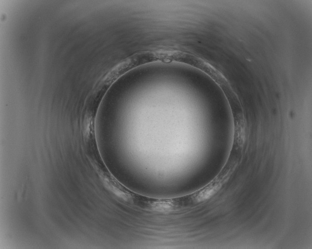 X0000083610574200702201253