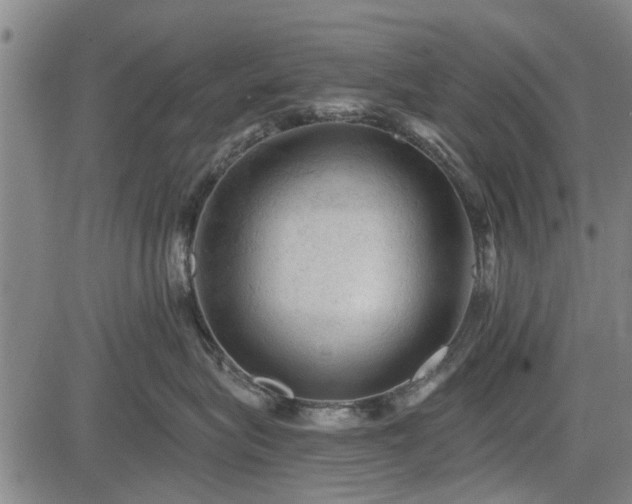 X0000083610575200702201253