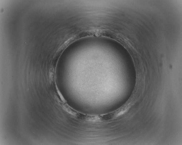 X0000083610576200702201253