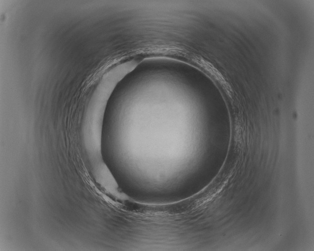 X0000083610577200702201252