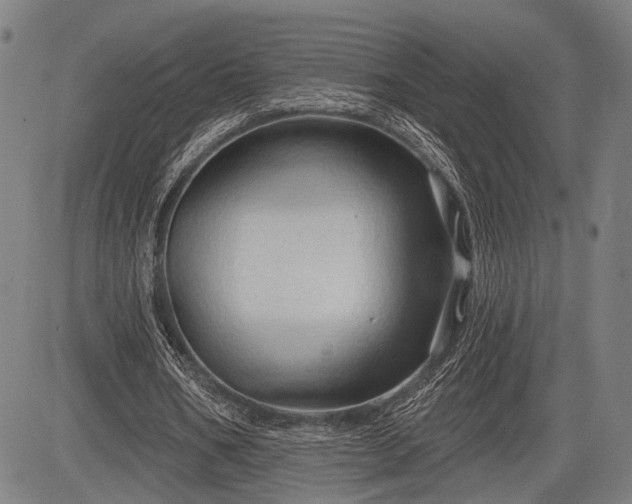 X0000083610578200702201252