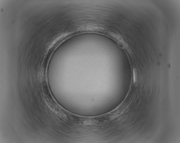 X0000083610579200702201252