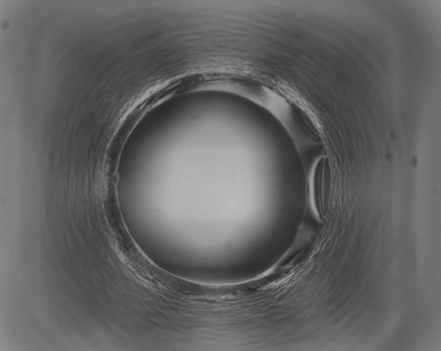 X0000083610580200702201252