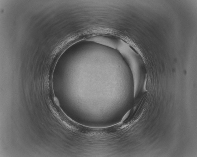 X0000083610581200702201252