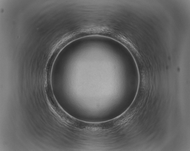 X0000083610582200702201252