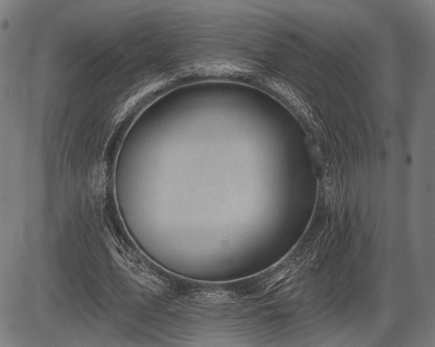 X0000083610583200702201252