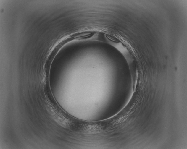 X0000083610584200702201252