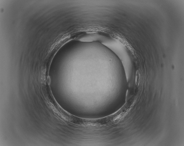 X0000083610585200702201252