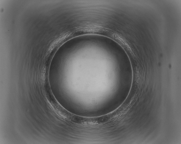 X0000083610586200702201252