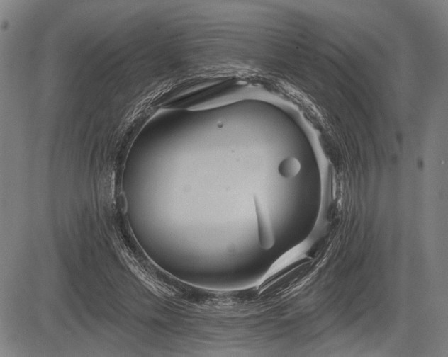 X0000083610589200702201252