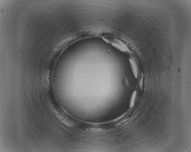 X0000083610590200702201252