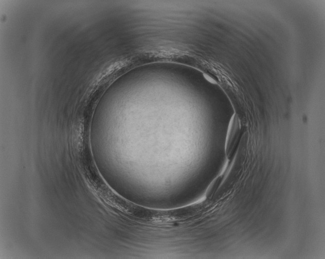 X0000083610591200702201252