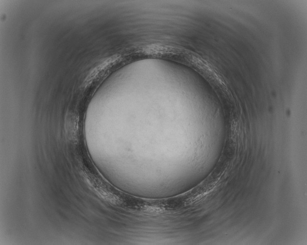 X0000083610592200702201252