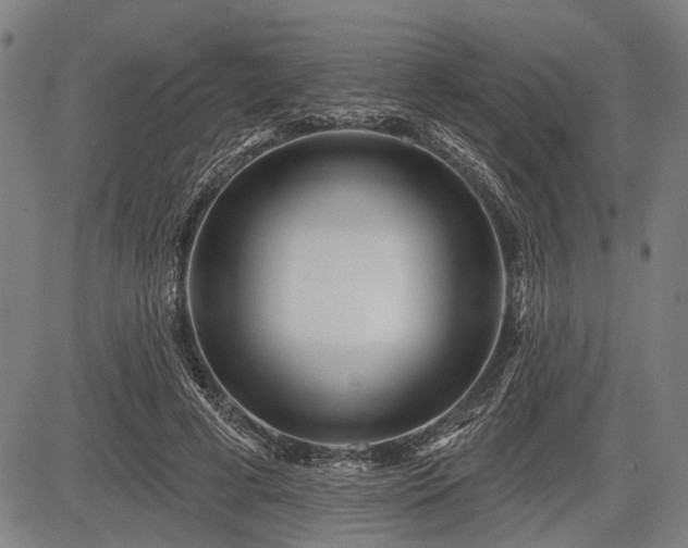 X0000083610593200702201252