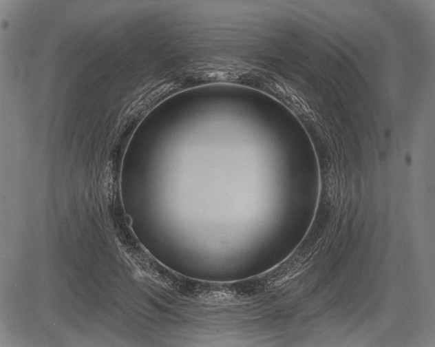 X0000083610594200702201252