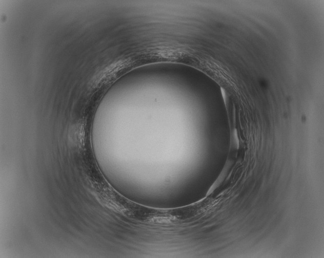 X0000083610595200702201252