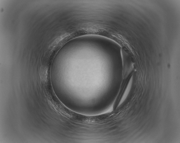 X0000083610596200702201252