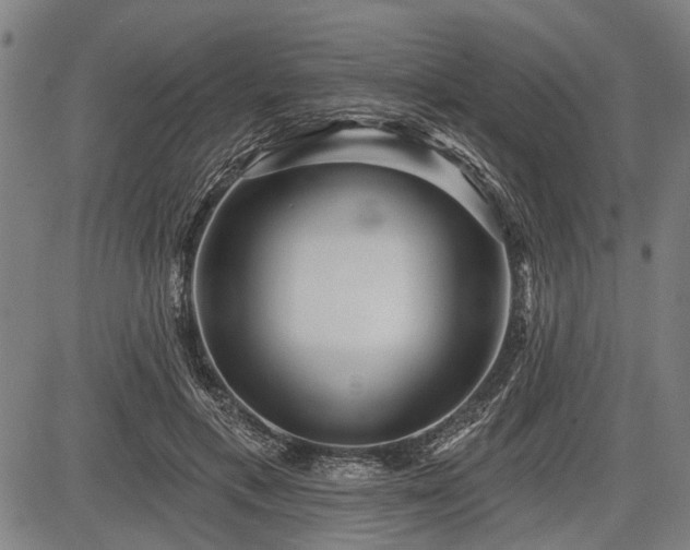 X0000083610597200702201252