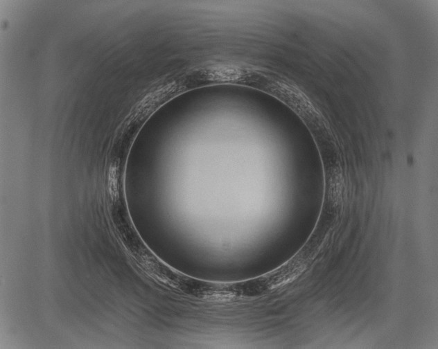 X0000083610598200702201252