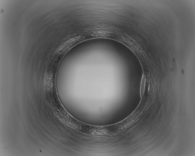 X0000083610599200702201252