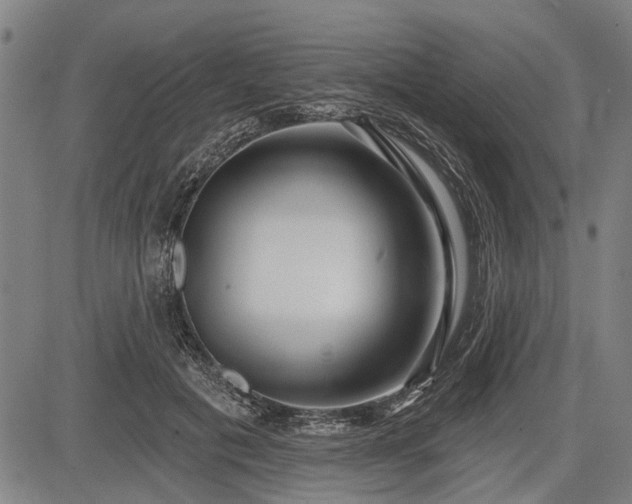 X0000083610601200702201252