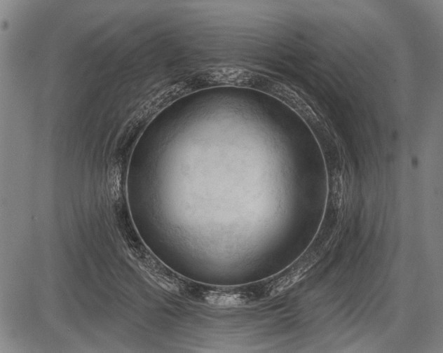 X0000083610602200702201252