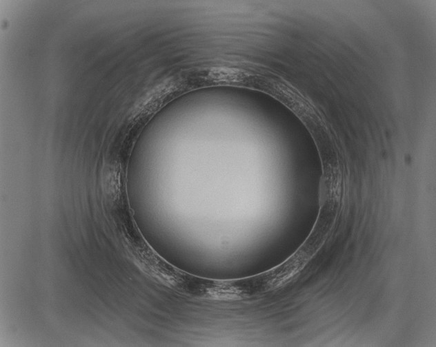 X0000083610603200702201252