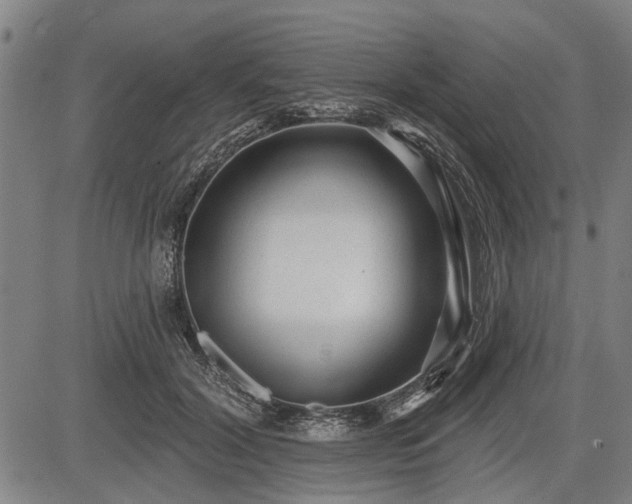 X0000083610604200702201252