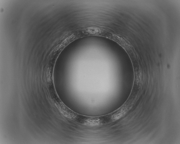 X0000083610606200702201252