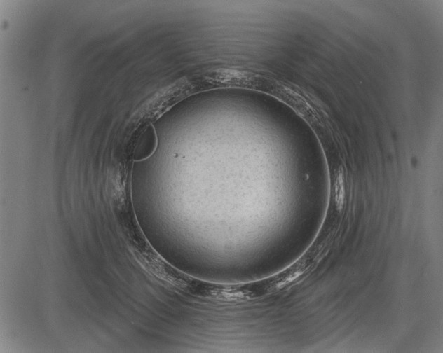 X0000083610607200702201252