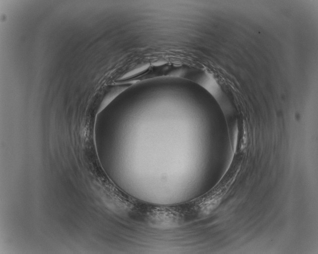 X0000083610608200702201252